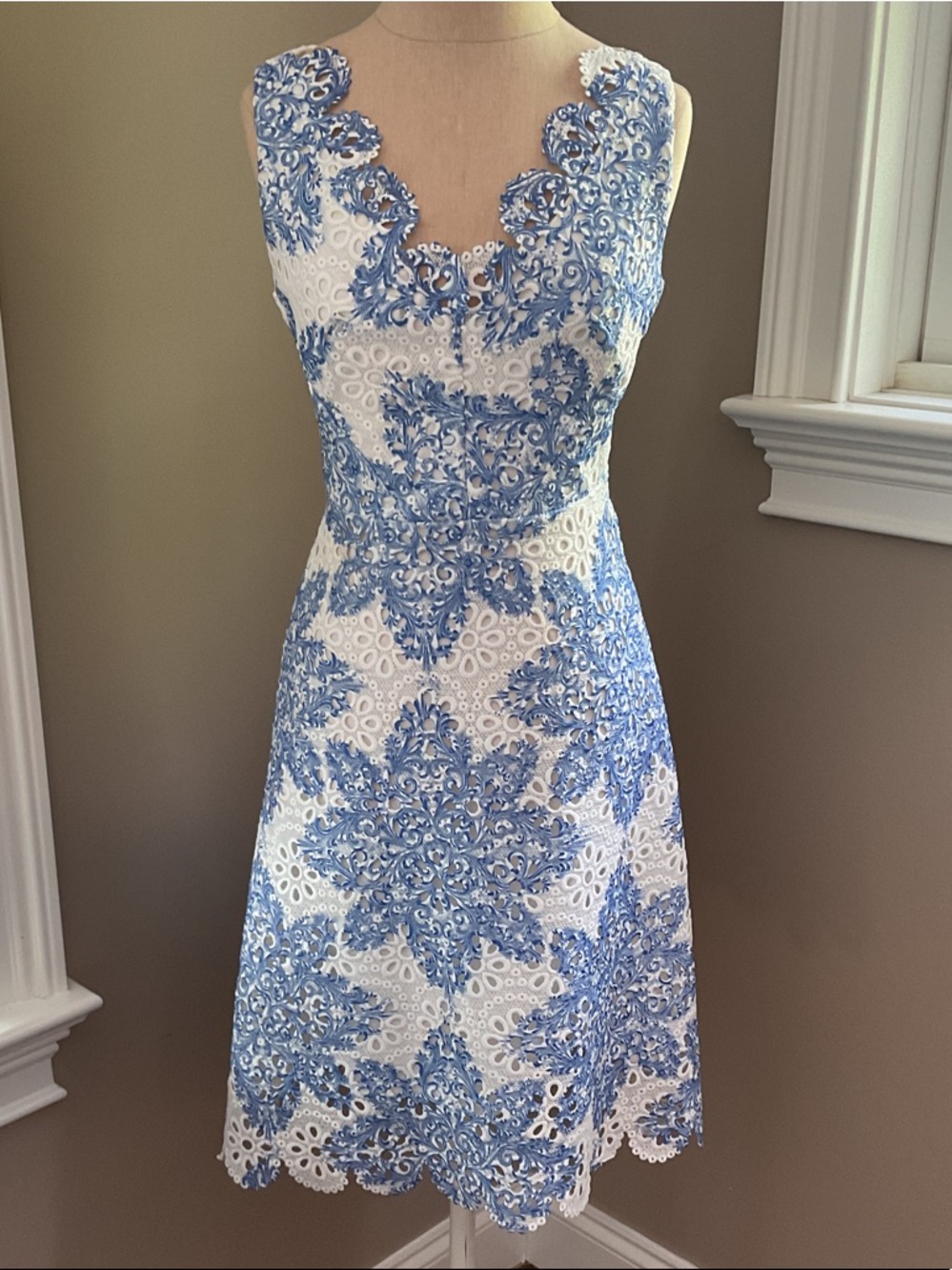 Anthropologie Eva Franco White and Blue Lace Sleeveless Midi Dress